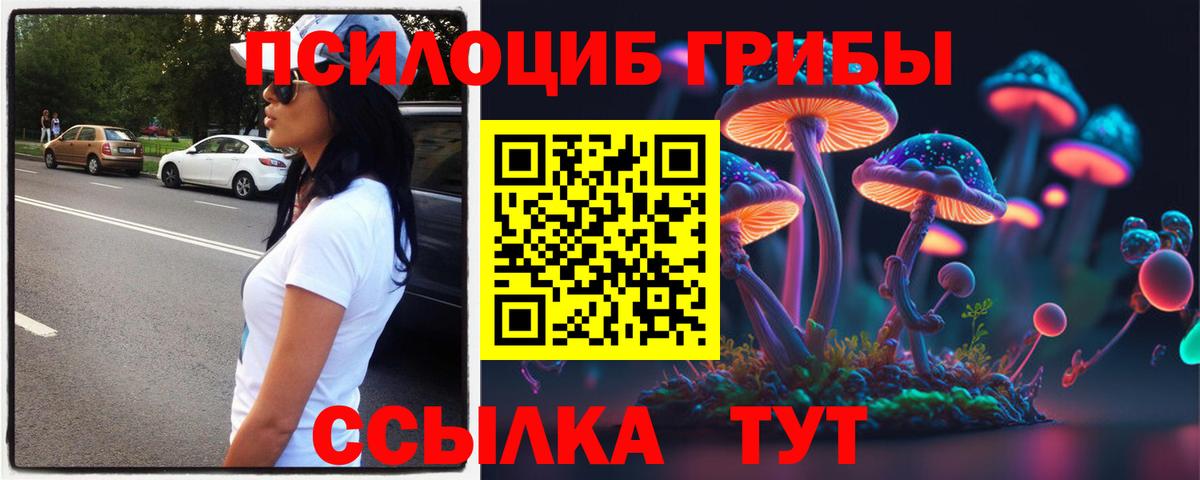 Галлюциногенные грибы мицелий Сунжа