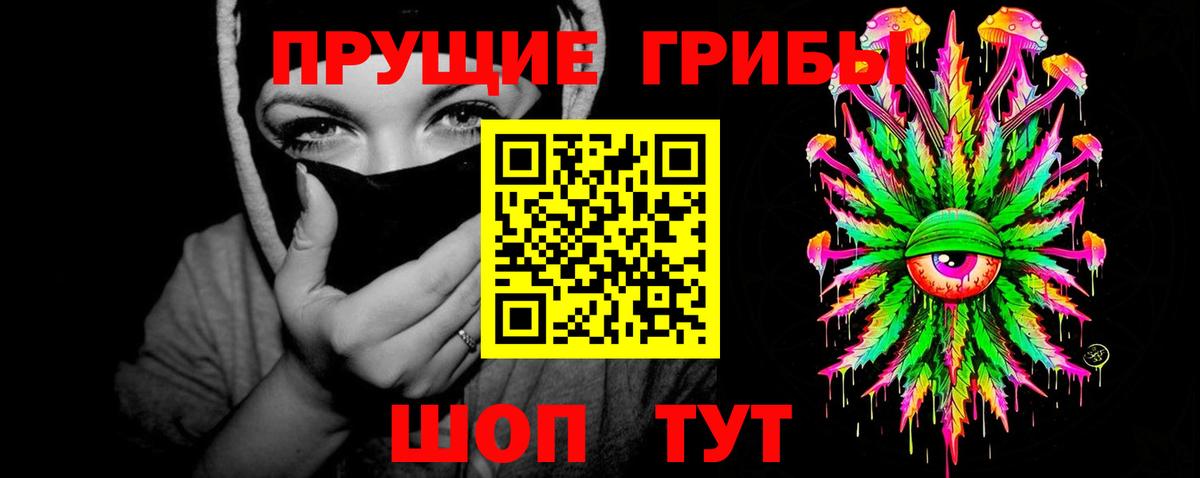 Сунжа  Псилоцибиновые грибы Magic Shrooms  Вход с VPN 